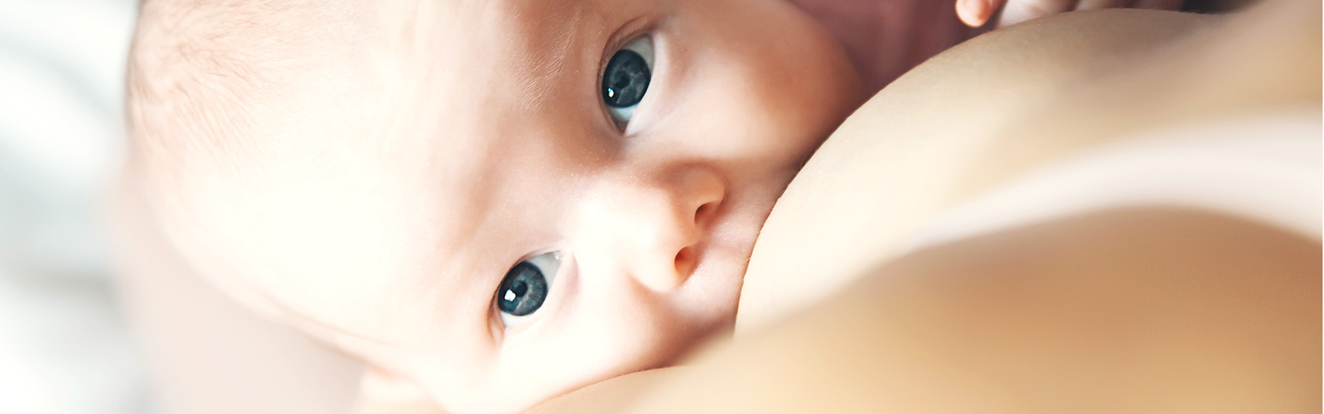 Vše o mateřském mléce