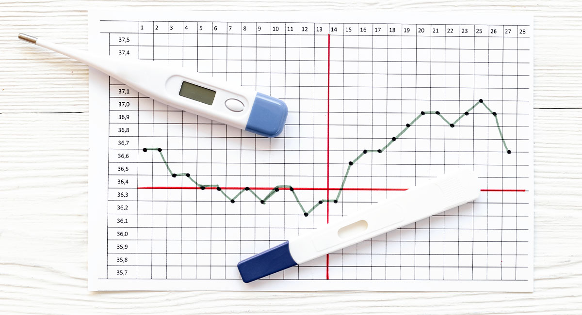 Bazální teplota a těhotenství