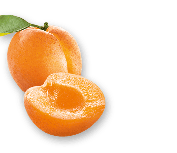 Hero-CZ-PDP_Decorative-element_Apricot
