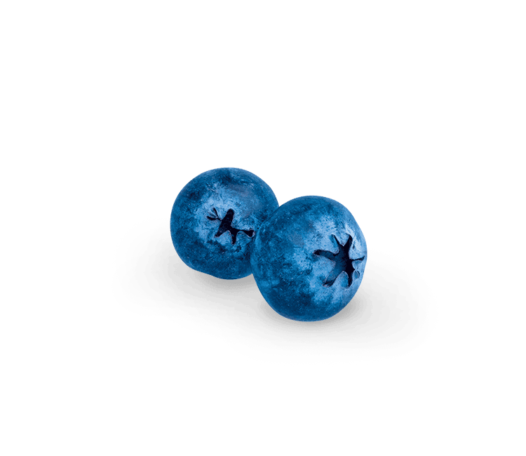 Blueberry