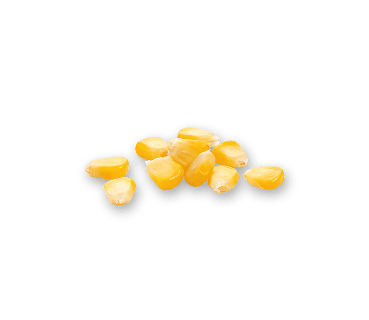 corn