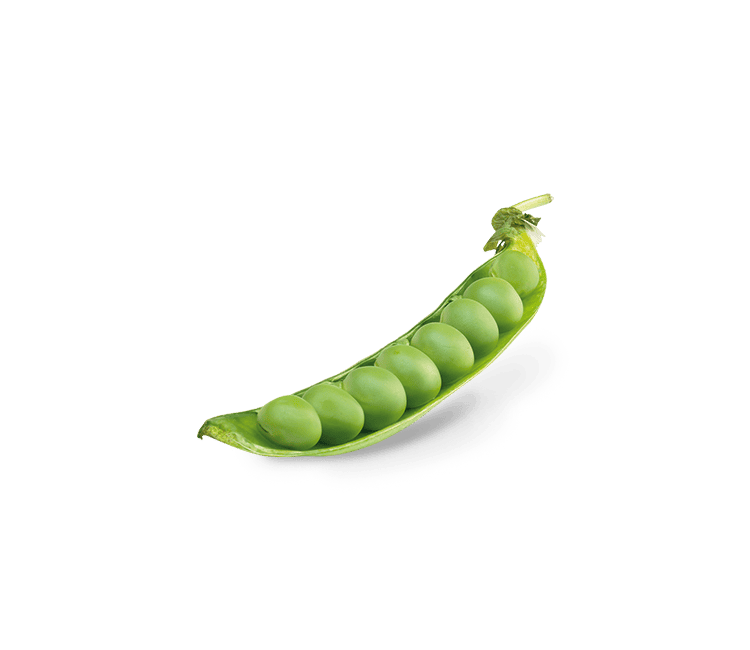 Peapod