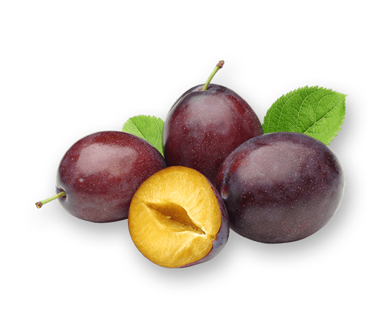 Plum