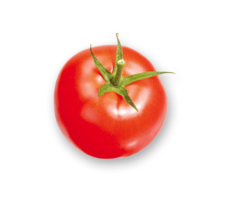 Tomato