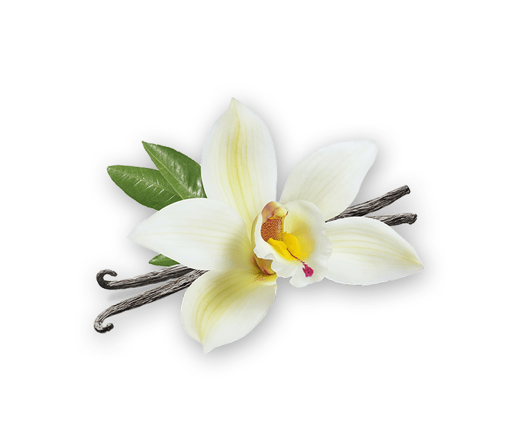 Vanilla
